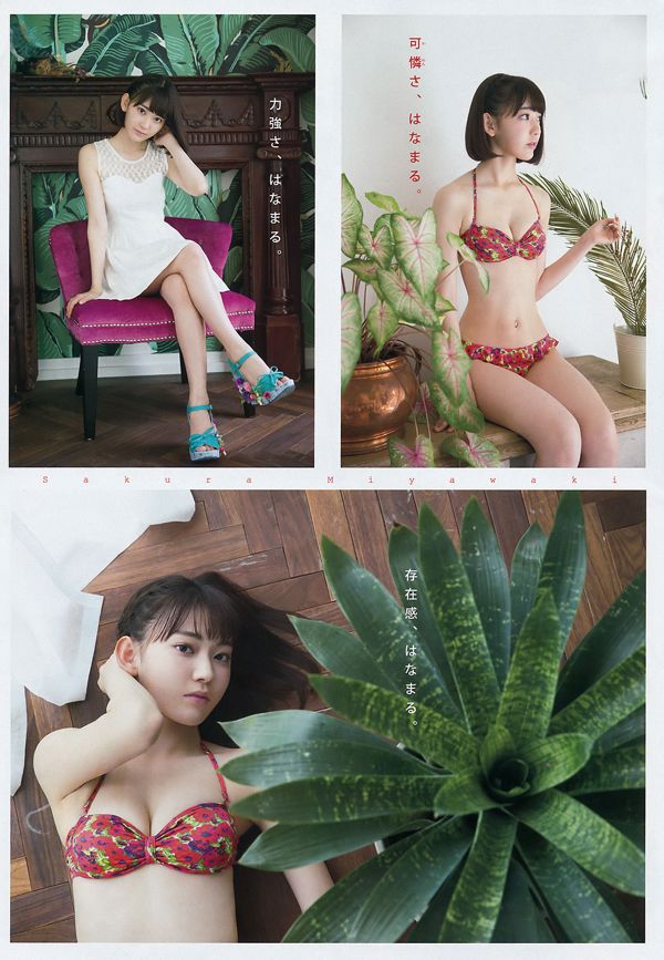 [Young Magazine] 宮脇咲良 大澤玲美 2016年No.41 写真杂志